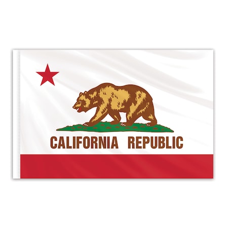 California Indoor Nylon Flag 6'x10' With Gold Fringe